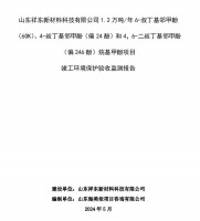 山東祥東新材料科技有限公司1.2萬噸/年6-叔丁基鄰甲(60K)、4-叔丁基鄰甲酚(偏 24 酚)和 4，6-二叔丁基鄰甲酚(偏 246 酚)烷基甲酚項目竣工環(huán)境保護(hù)驗收監(jiān)測報告